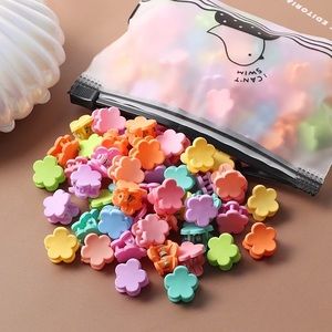 40 Colorful Flower Hair Clips
